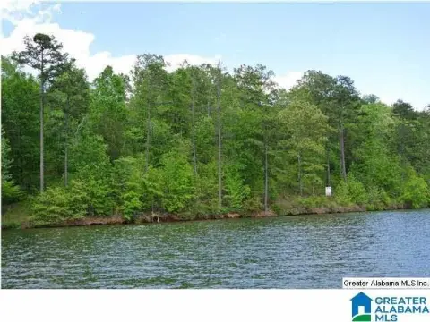 Lakefront Lot on Wedowee Creek