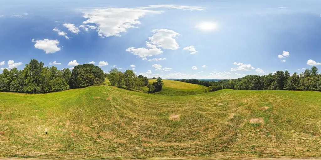 Picture 17