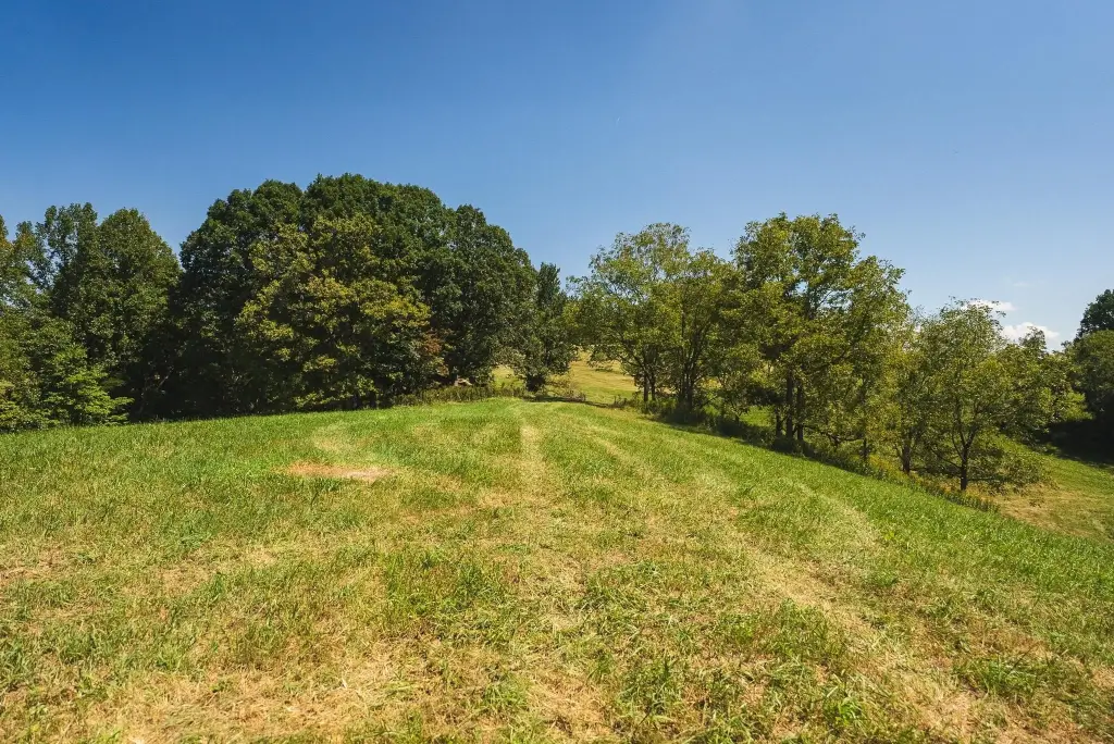 Picture 41