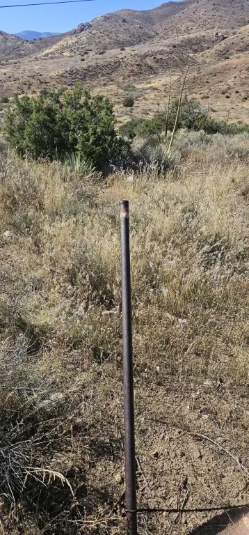 Picture 2