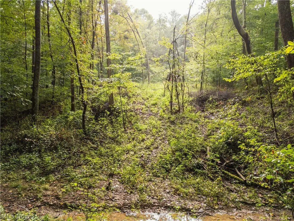 Picture 17