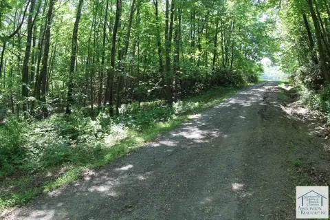 Patrick County Wooded Land For Sale