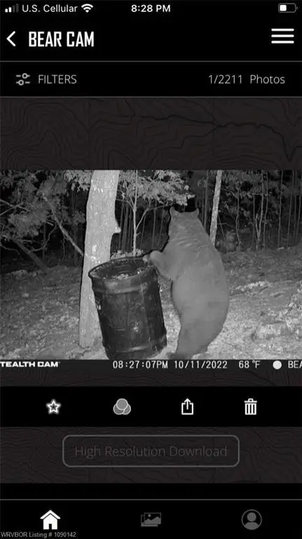 Picture 19