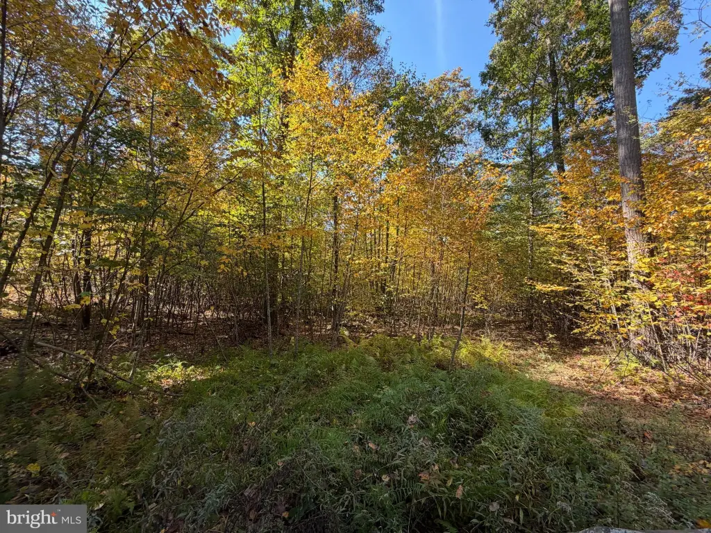 Picture 19