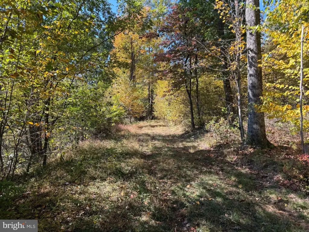 Picture 21
