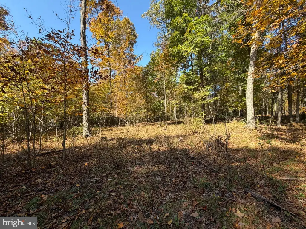 Picture 28