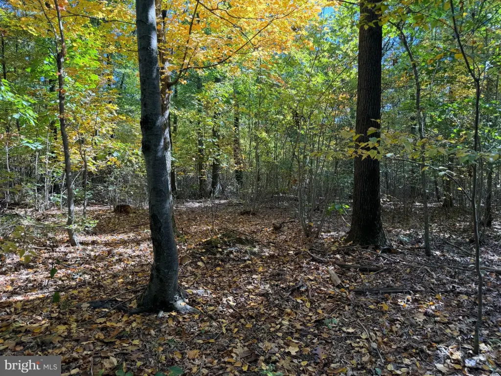 Picture 23