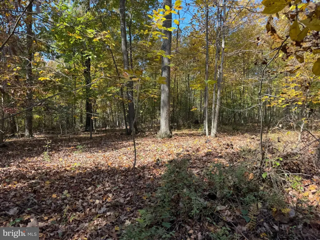 Picture 27