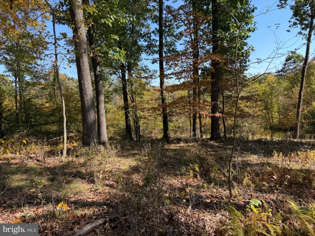 Picture 16