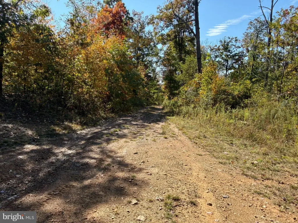 Picture 23