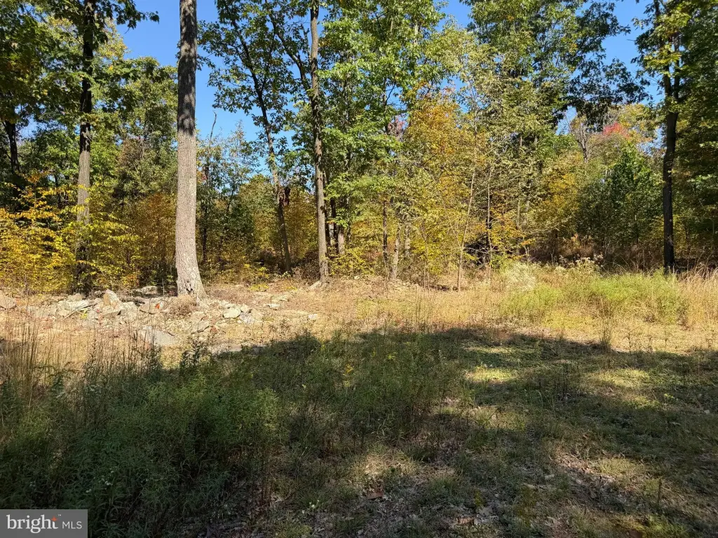 Picture 15