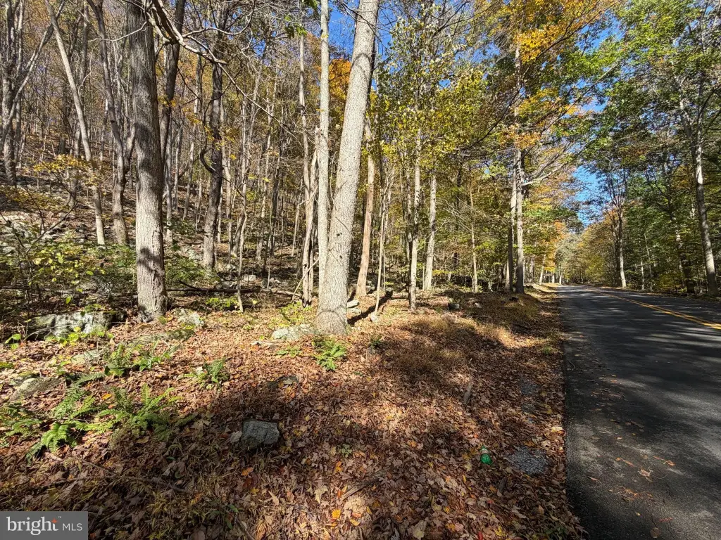 Picture 41