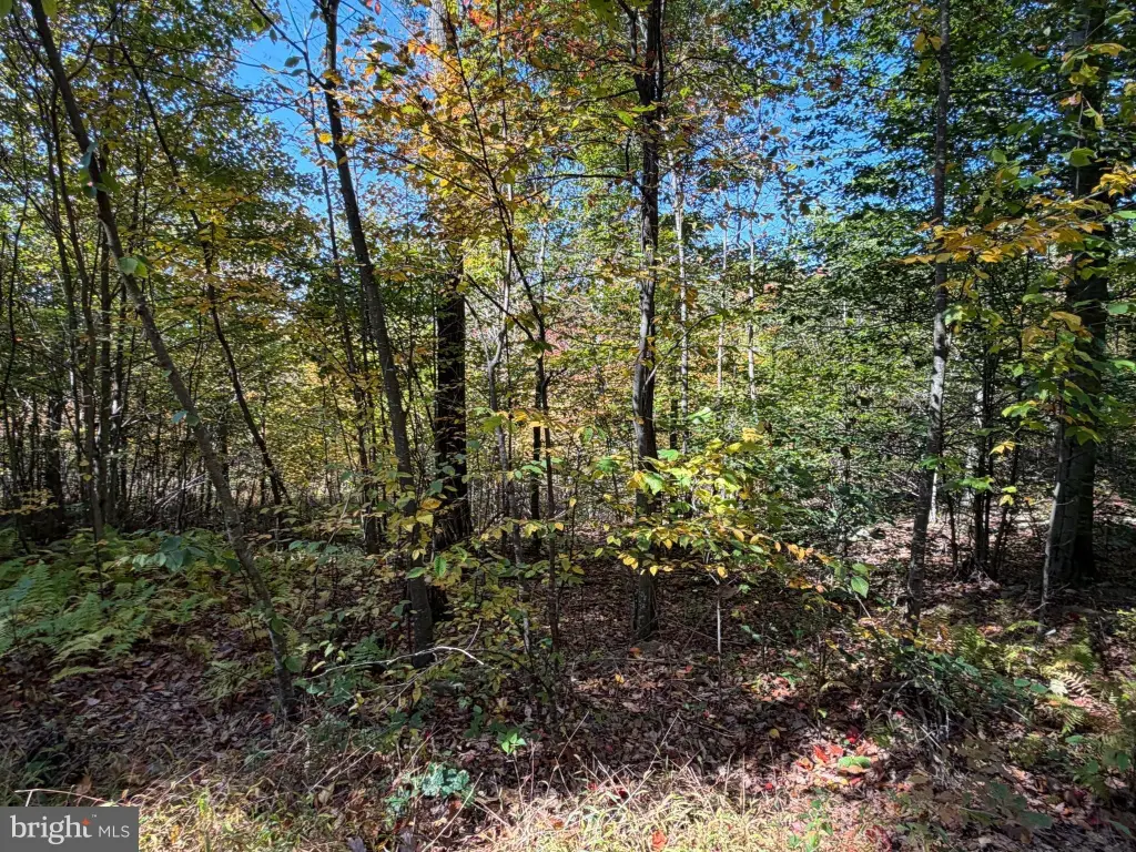 Picture 28