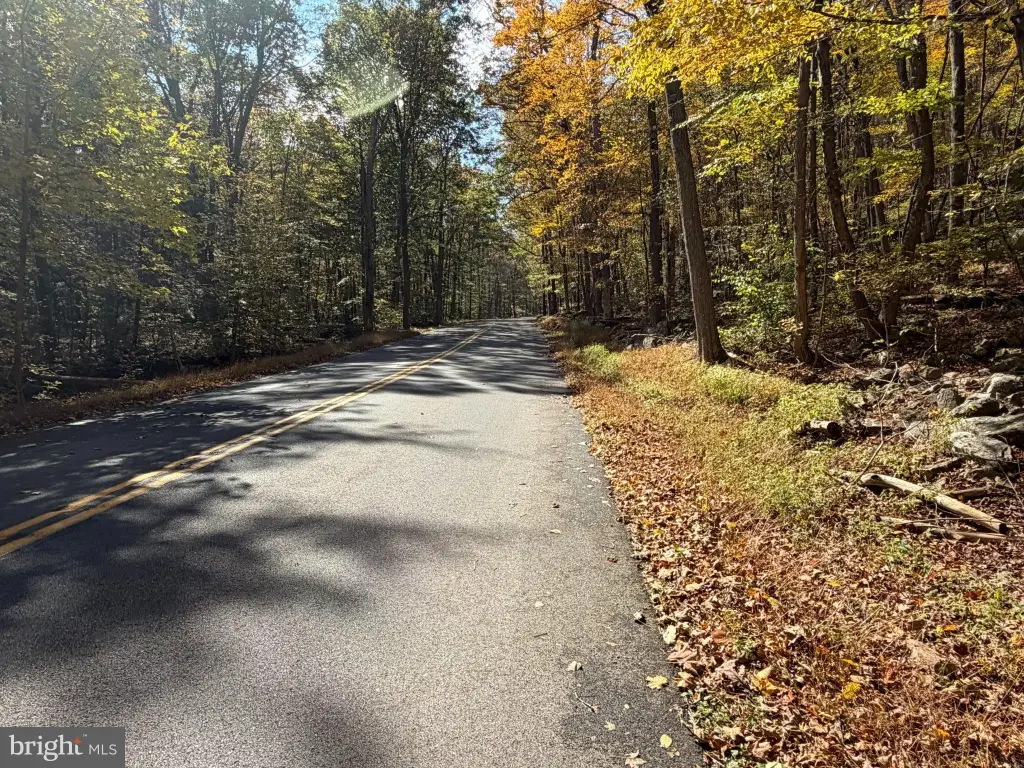 Picture 41