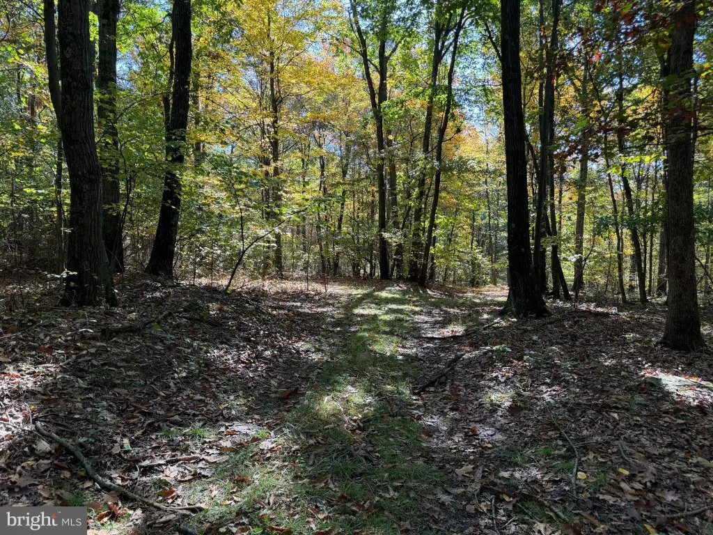 Picture 19