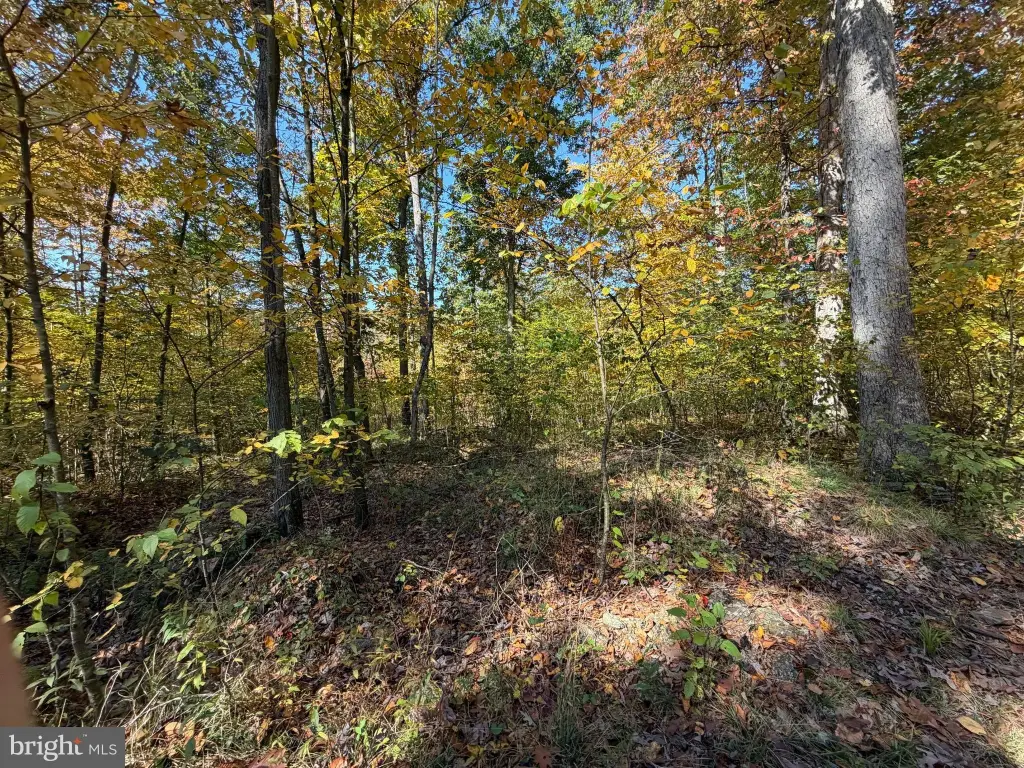 Picture 24