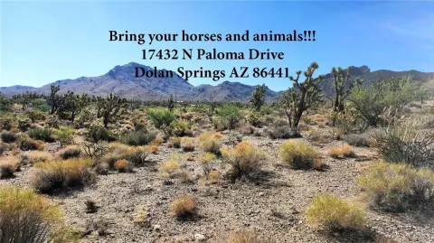 Dolan Springs Land For Sale