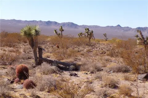 9.4 Acres in White Hills