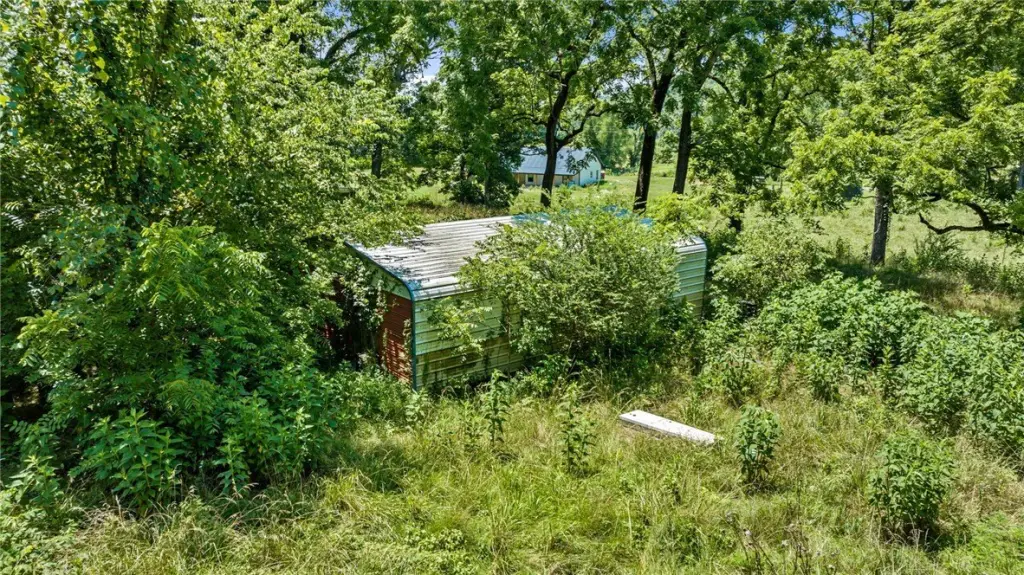 Picture 6