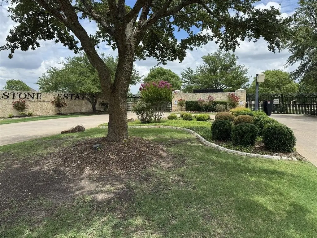 Picture 19