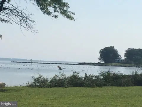 Waterfront Property on Coan River