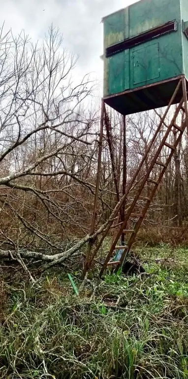 Picture 5