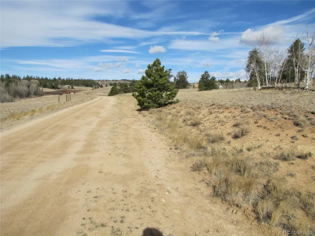 Picture 19