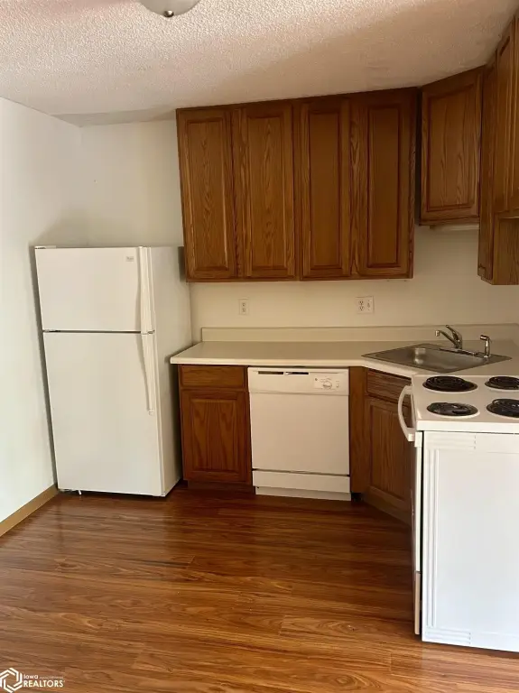 Picture 19