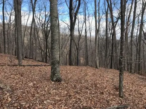 Residential Land in Monterey, VA