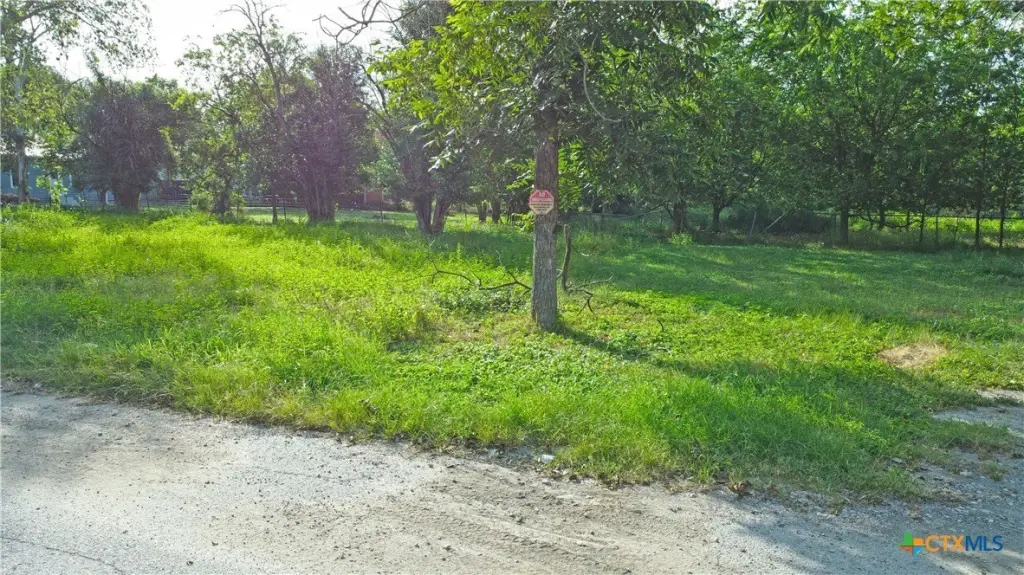 Picture 5