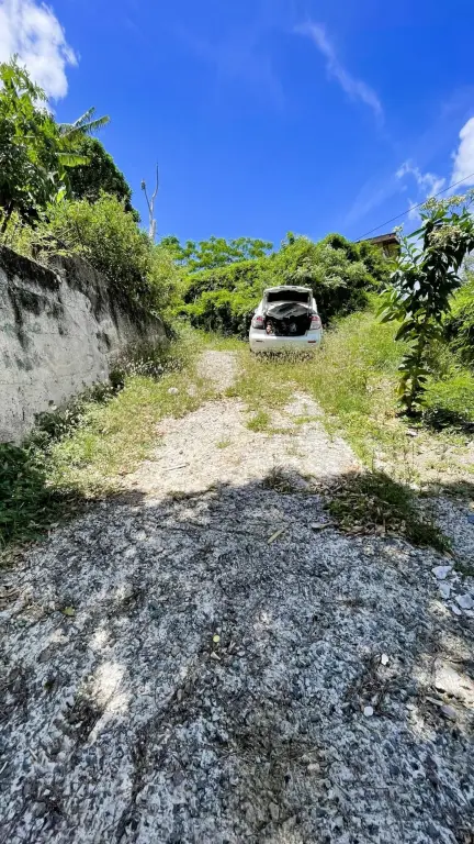 Picture 2
