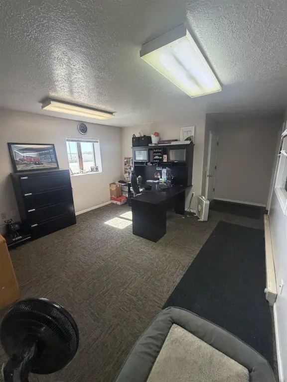 Picture 12