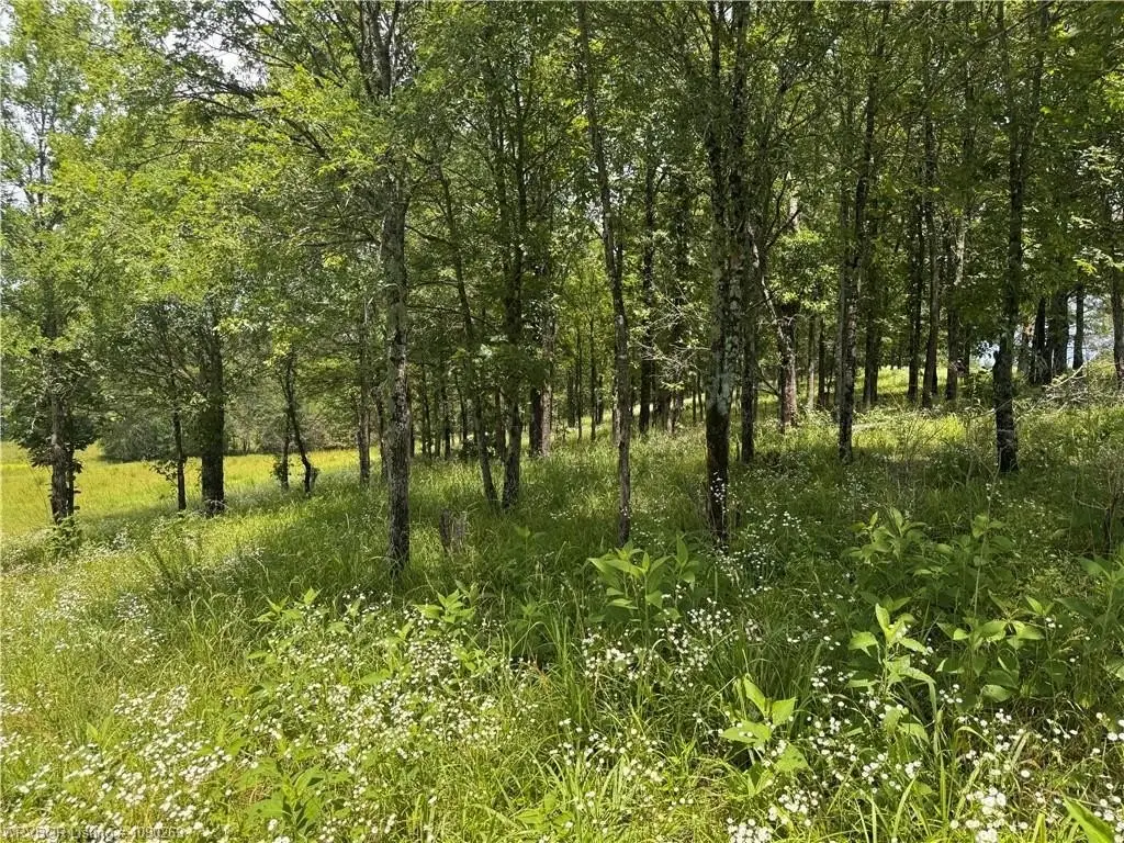 Picture 18
