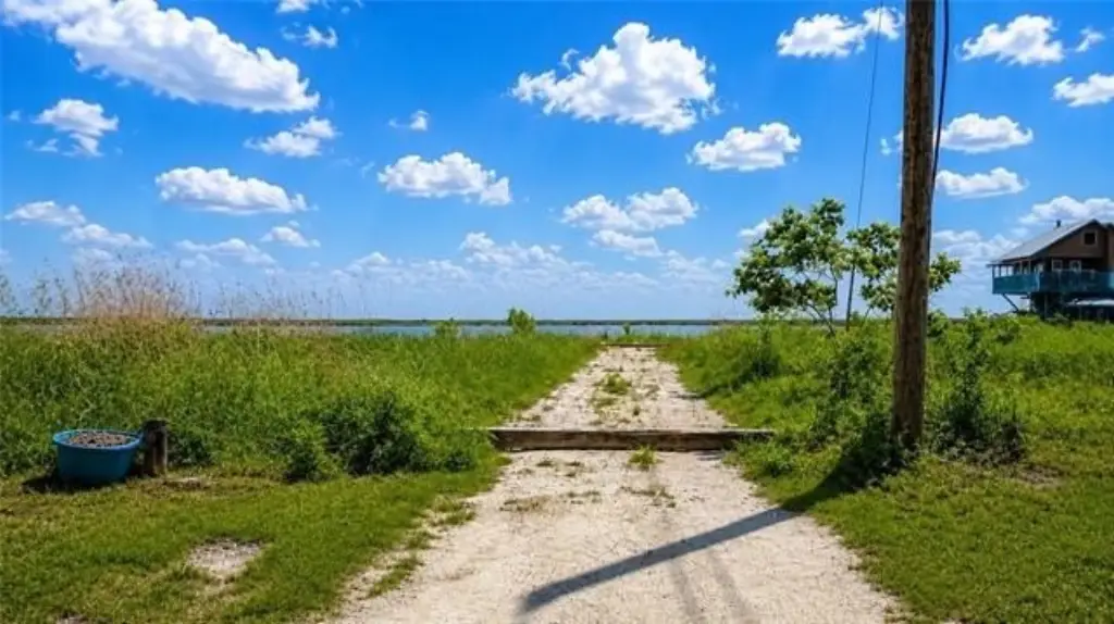 Picture 8