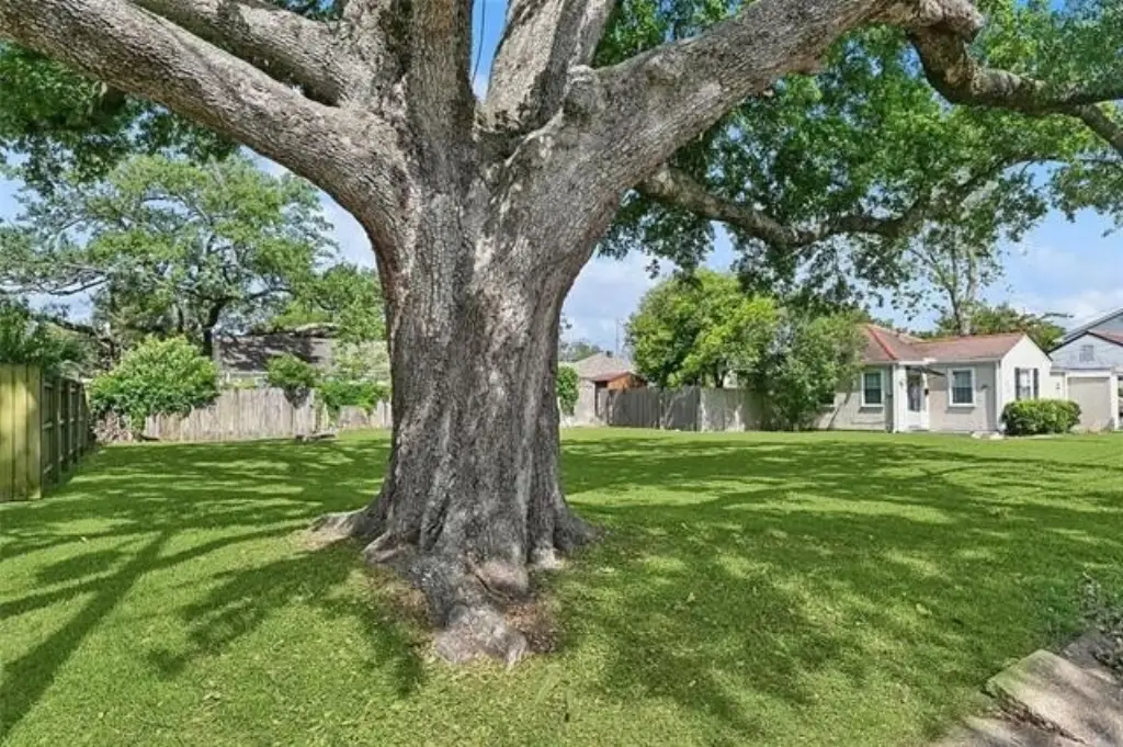 Picture 15