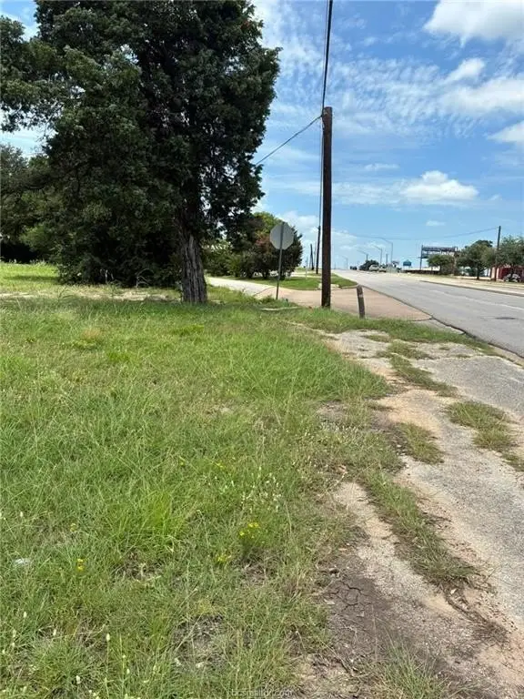 Picture 6
