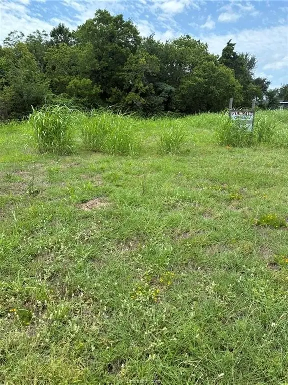 Picture 2
