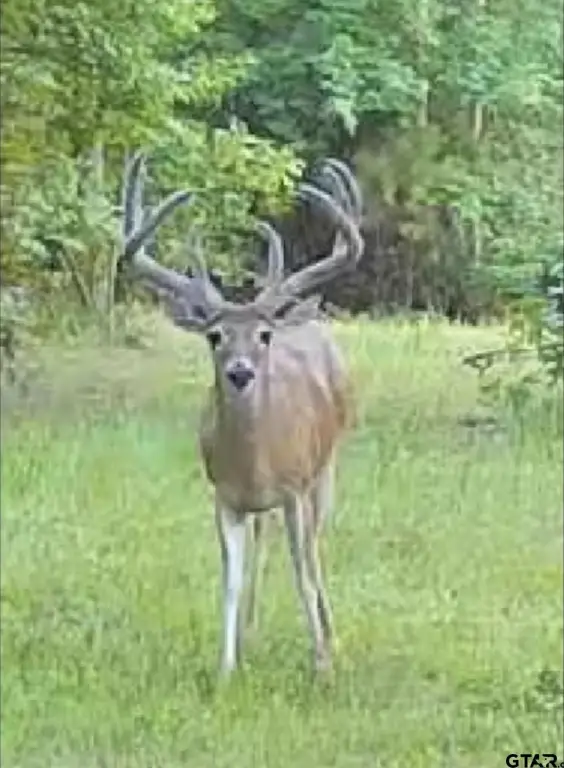 Picture 3