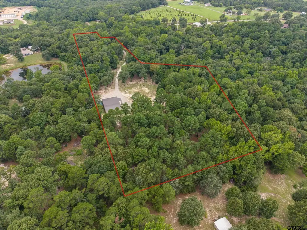 Picture 4