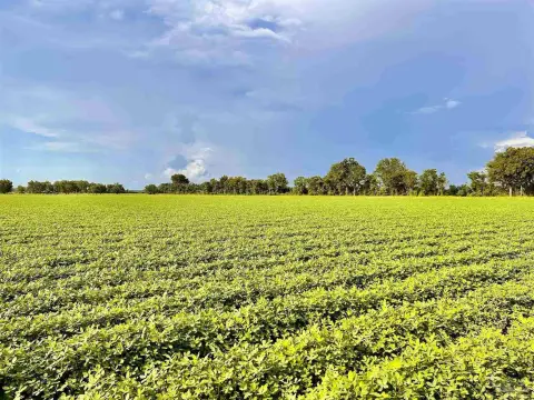 37.69 Acres in Jay, Florida