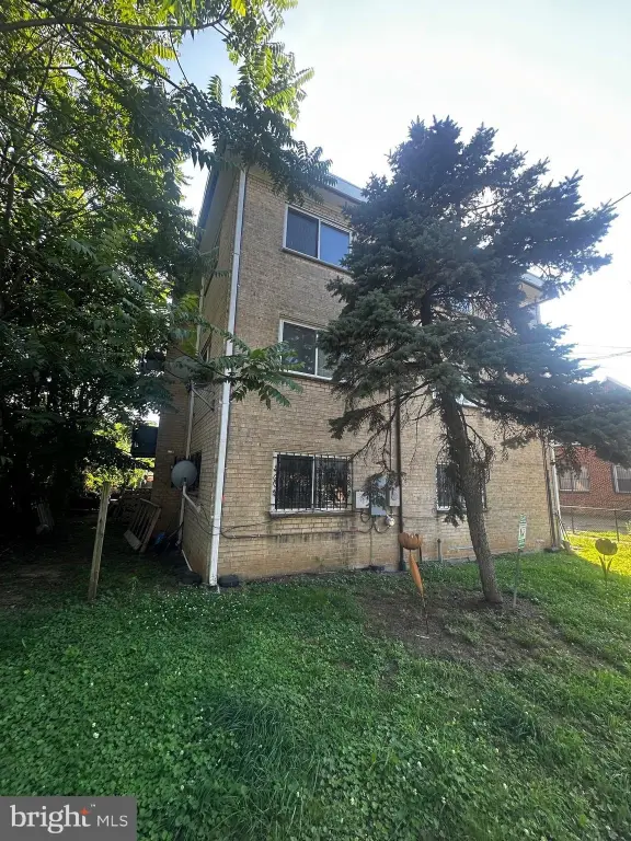 Picture 5
