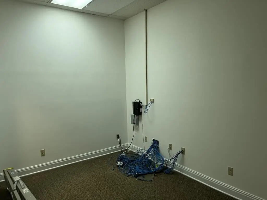 Picture 12
