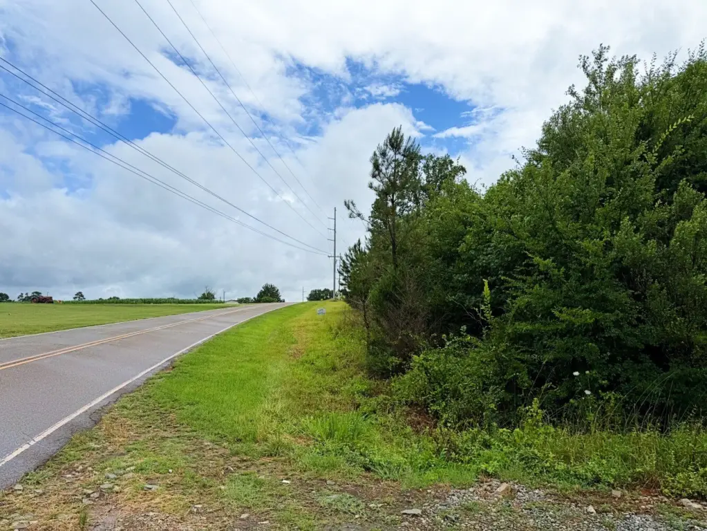 Picture 17