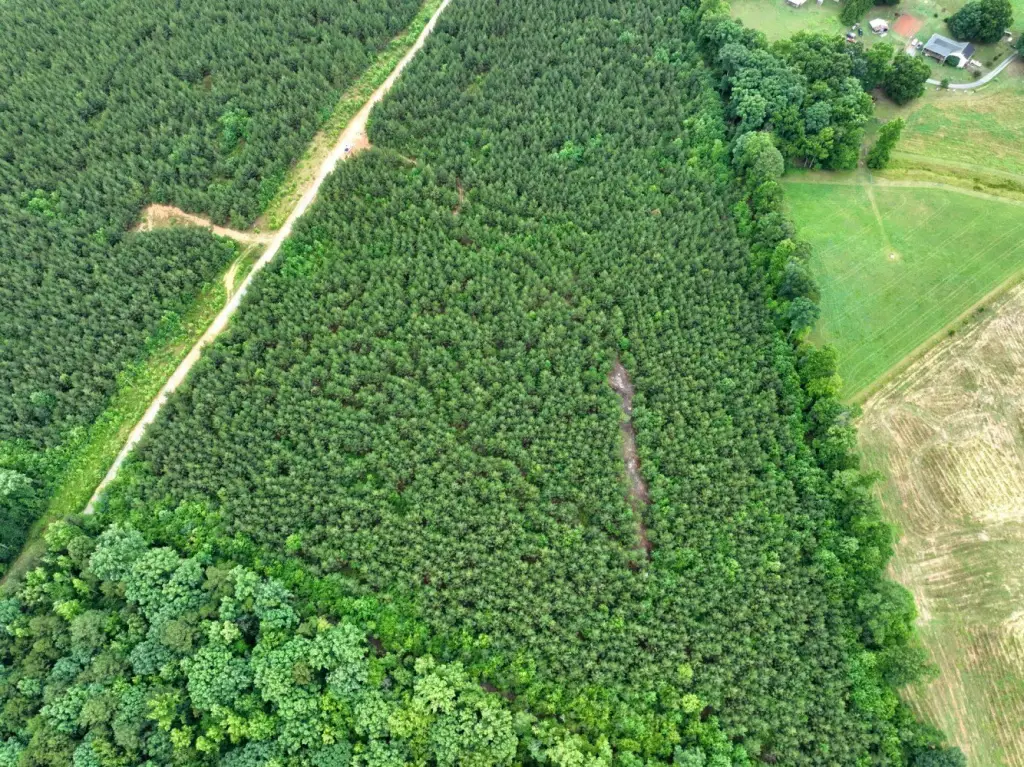 Picture 8