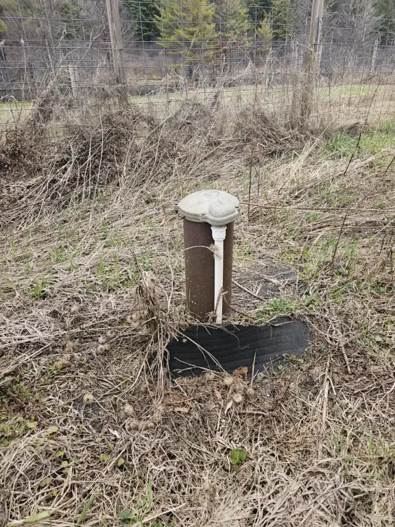 Picture 10