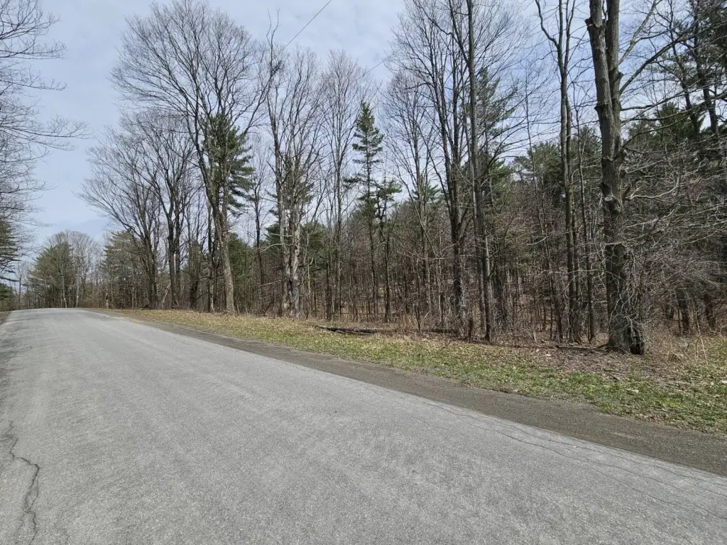 Picture 40