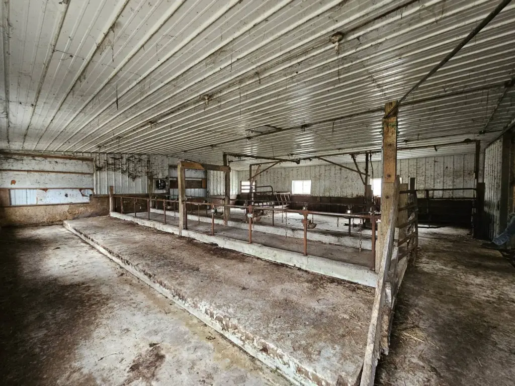 Picture 15
