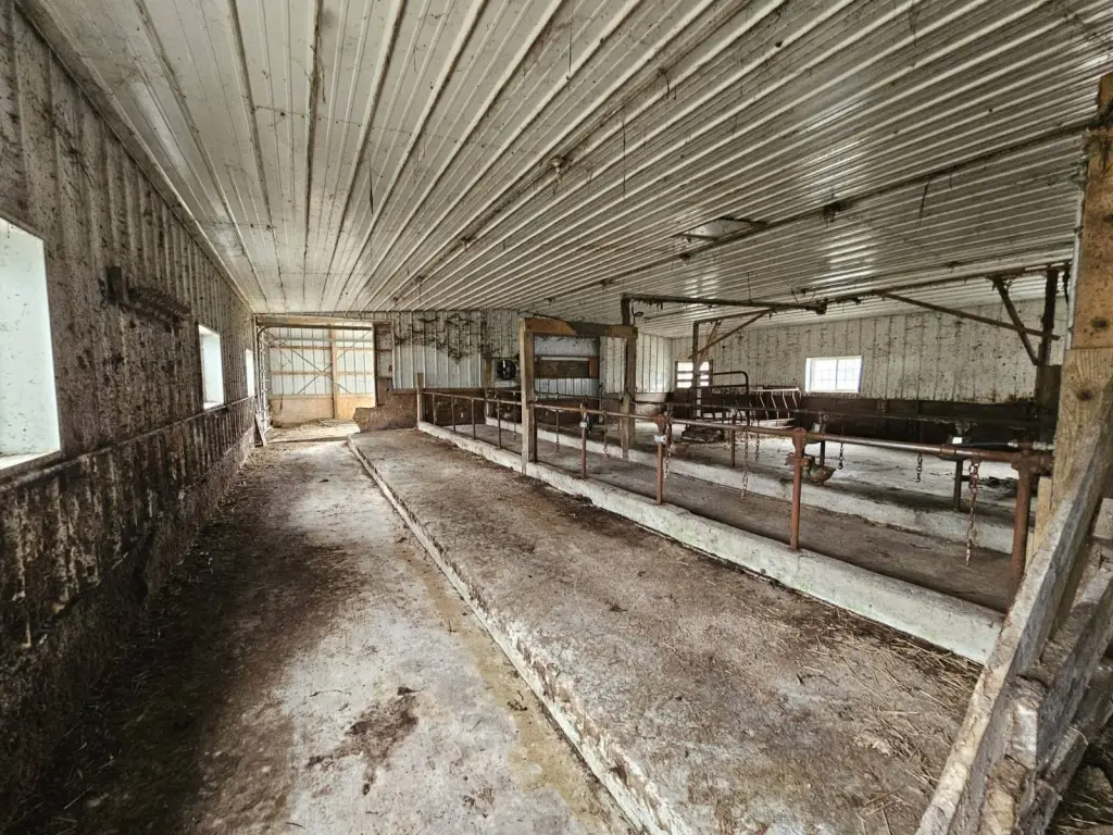 Picture 16