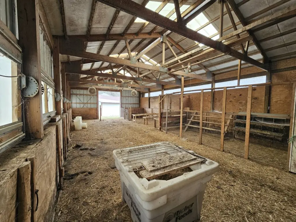 Picture 27