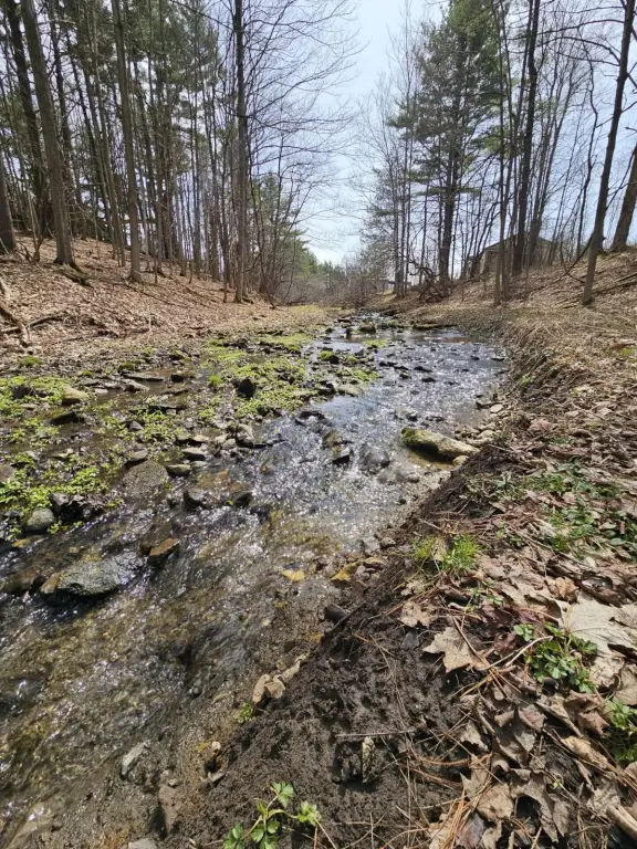 Picture 41